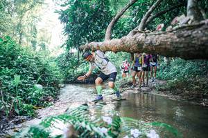 BIB: 
                            <button type="button" onclick="openModal(25441104)" class="btn btn-primary btn-sm float-right btn-popup" data-toggle="modal" data-target=".modal-high-quality">
                        <i class="fas fa-shopping-cart"></i> Add to Cart
                    </button>
                                            <button type="button" onclick="isThisMe(25441104, true)" class="btn btn-success btn-sm float-right btn-popup btn-isme hidden" data-toggle="tooltip" data-placement="bottom" title="นี่คือรูปของคุณใช่ไหม คลิกที่นี่เพื่อเอาเข้าอัลบั้ม">
                        <i class="fas fa-plus"></i> Add to album
                    </button>
                    <button type="button" onclick="isThisMe(25441104, false)" class="btn btn-warning btn-sm float-right btn-popup btn-isnotme hidden">
                        <i class="fas fa-ban"></i> Remove from album
                    </button>